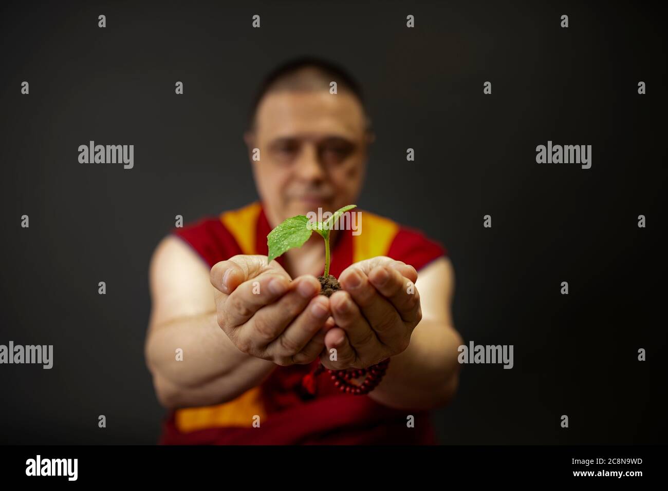 Il monaco tiene in mano la pianta. Concetto di ecologia e cura per la natura Foto Stock