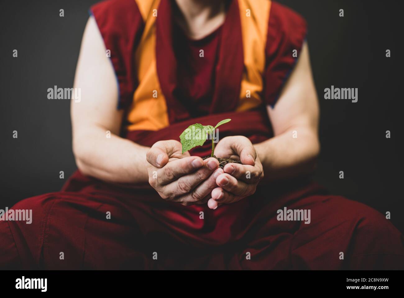 Il monaco tiene in mano la pianta. Concetto di ecologia e cura per la natura Foto Stock