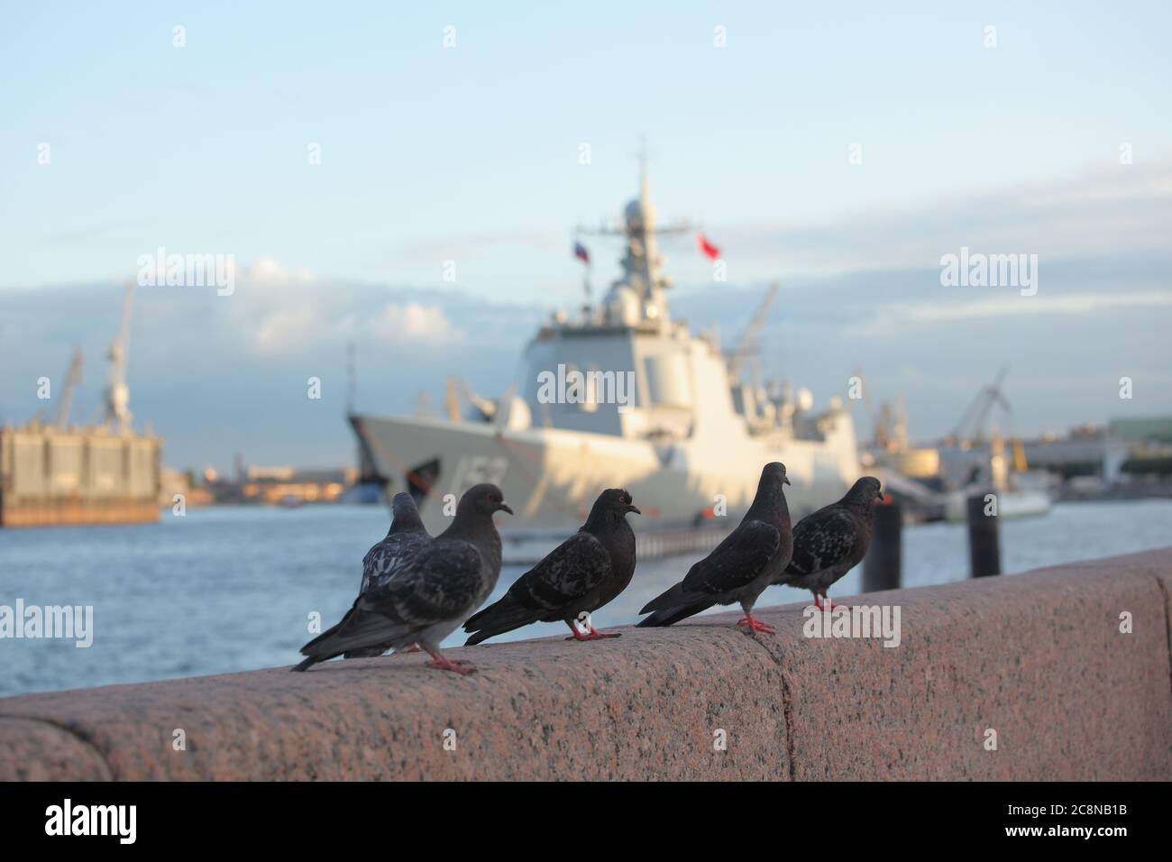 Piccioni neri contro il cacciatorpediniere guidato-missilistico Xi'an della forza di superficie della Marina militare dell'Esercito di Liberazione del Popolo Cinese a San Pietroburgo, Russia Foto Stock