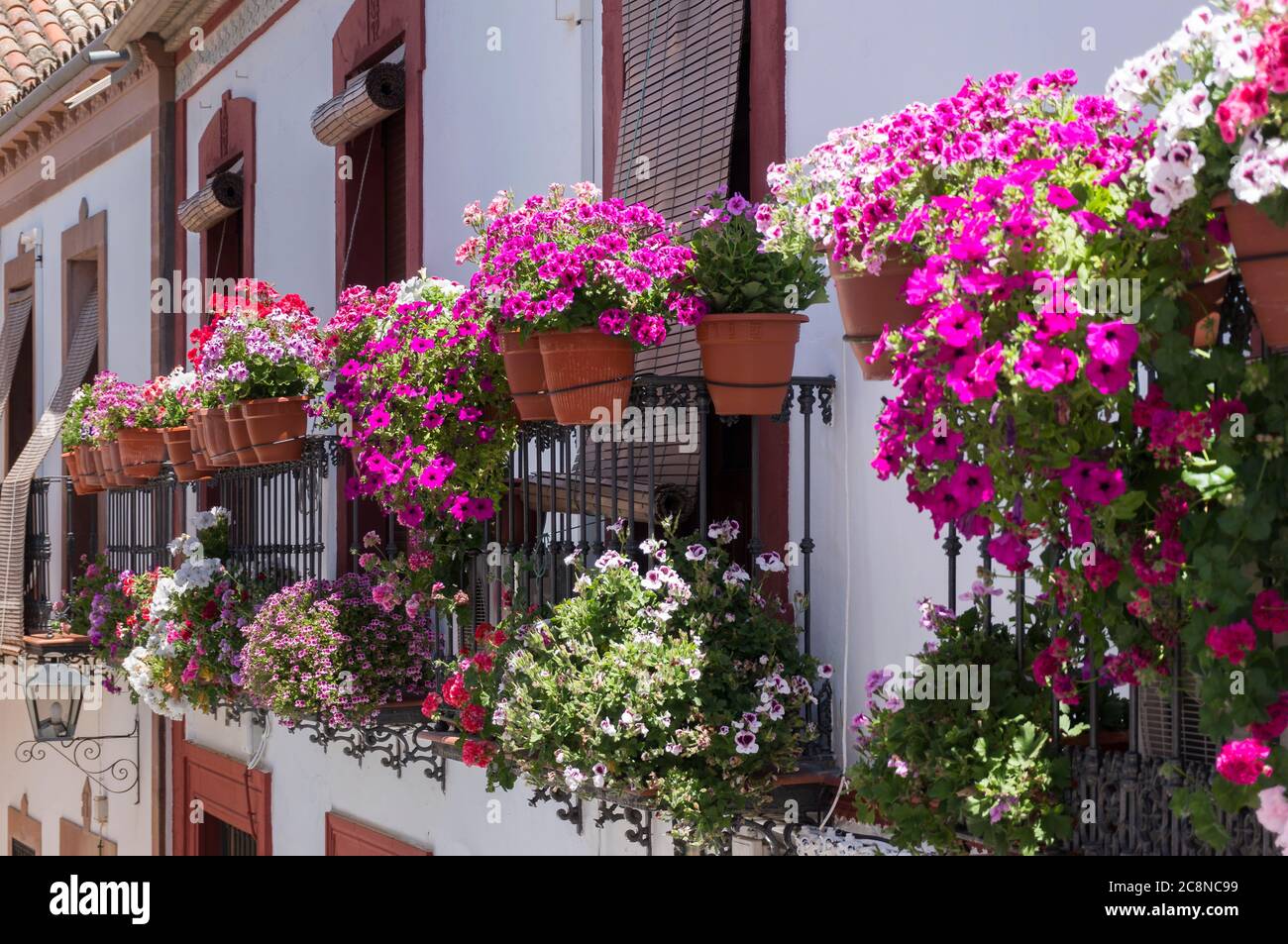 Pentole tipiche con fiori di fucsia appesi ai balconi, Cordoba. andalusia, Spagna Foto Stock