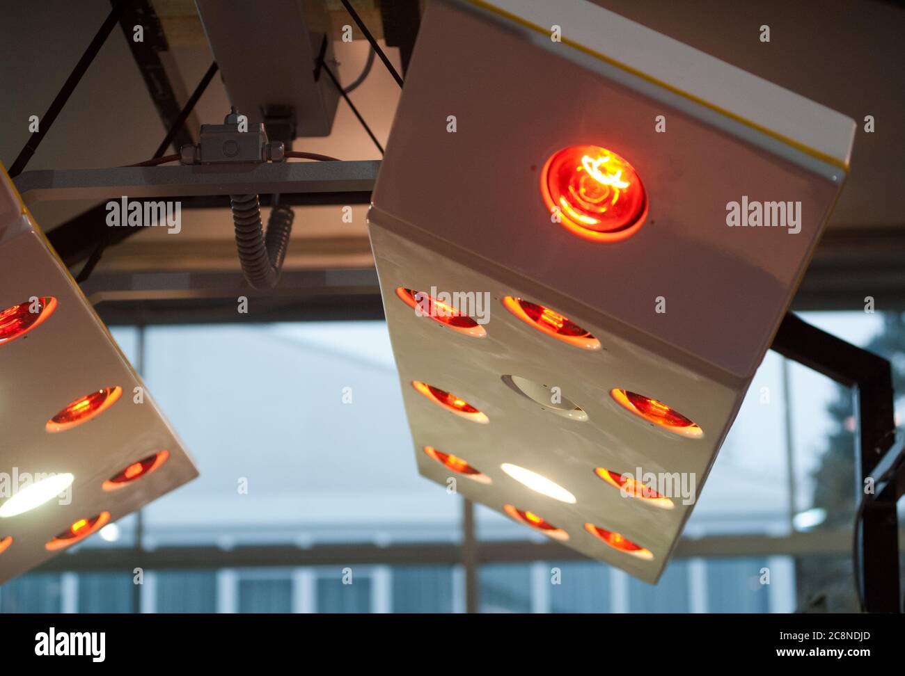 solarium per cavalli che lavorano Foto Stock