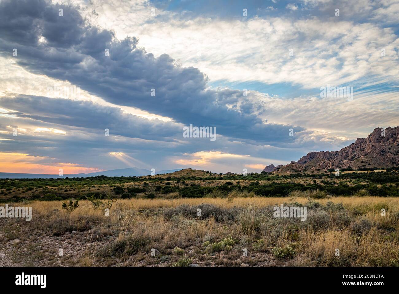 I Monti Dragoon sono una catena montuosa nella contea di Cochise, in Arizona, vicino alla storica città di Tombstone. Foto Stock