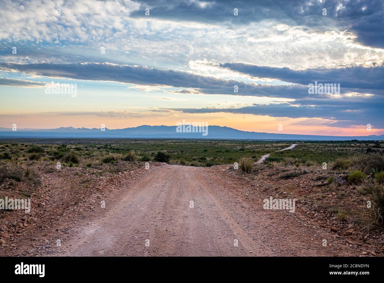 I Monti Dragoon sono una catena montuosa nella contea di Cochise, in Arizona, vicino alla storica città di Tombstone. Foto Stock