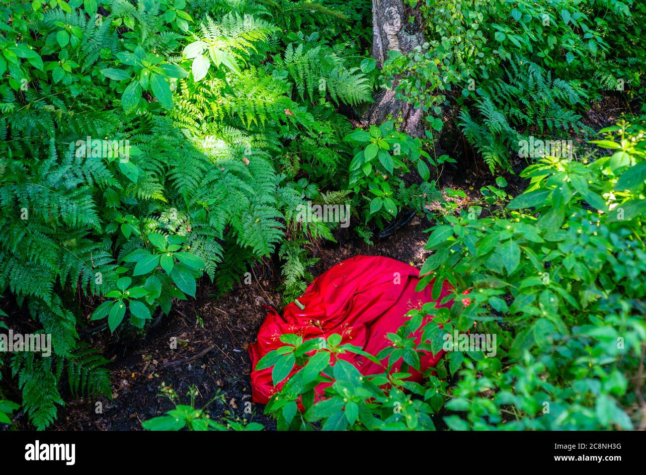 Un telone rosso piegato si trova in un fossato tra i campi gettati via nella bella natura Foto Stock