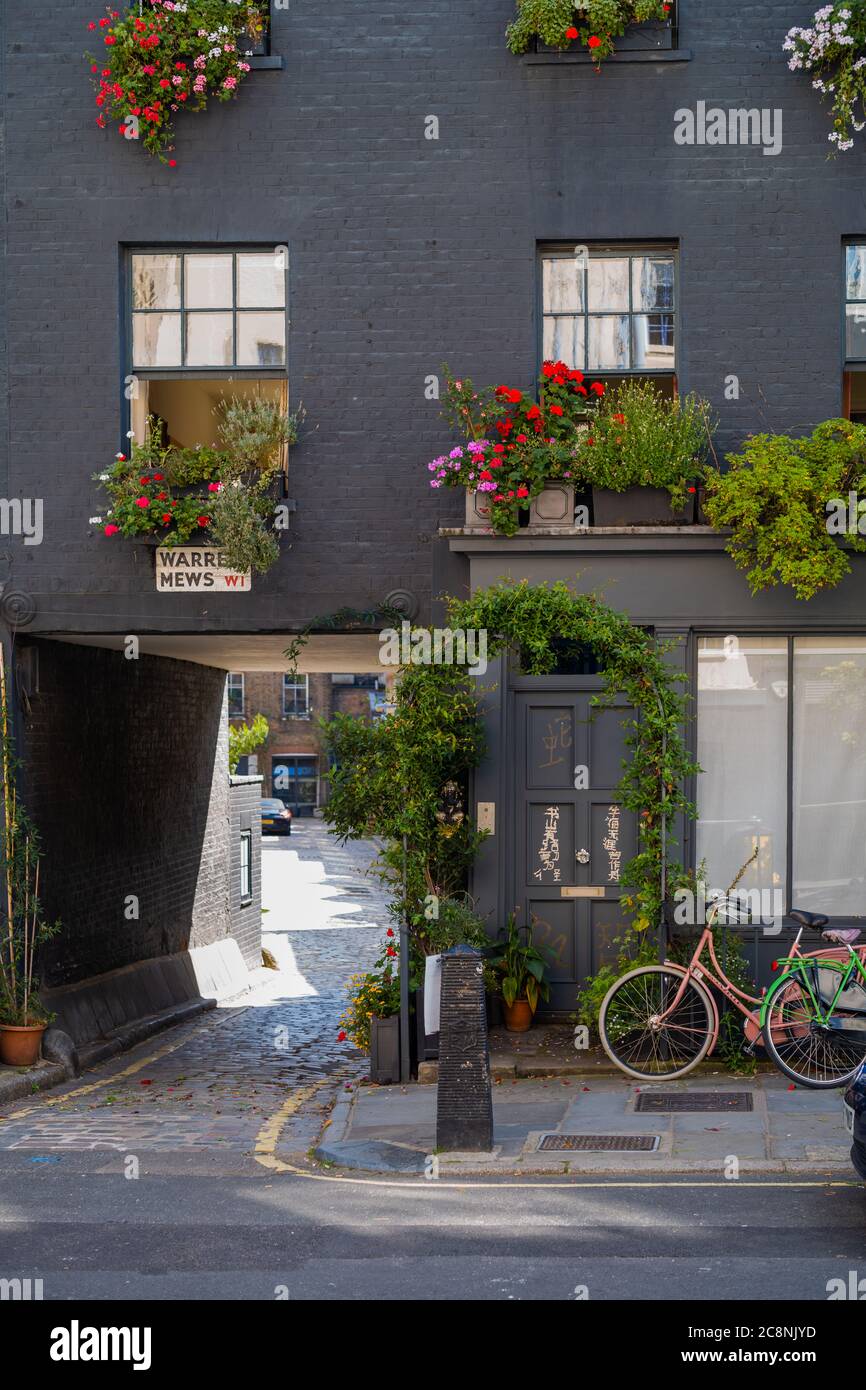 Attraente ingresso a Warren Mews, Londra. Le finestre aggiungono un colore vivace alla facciata. Vicino a Tottenham Court Road. Foto Stock