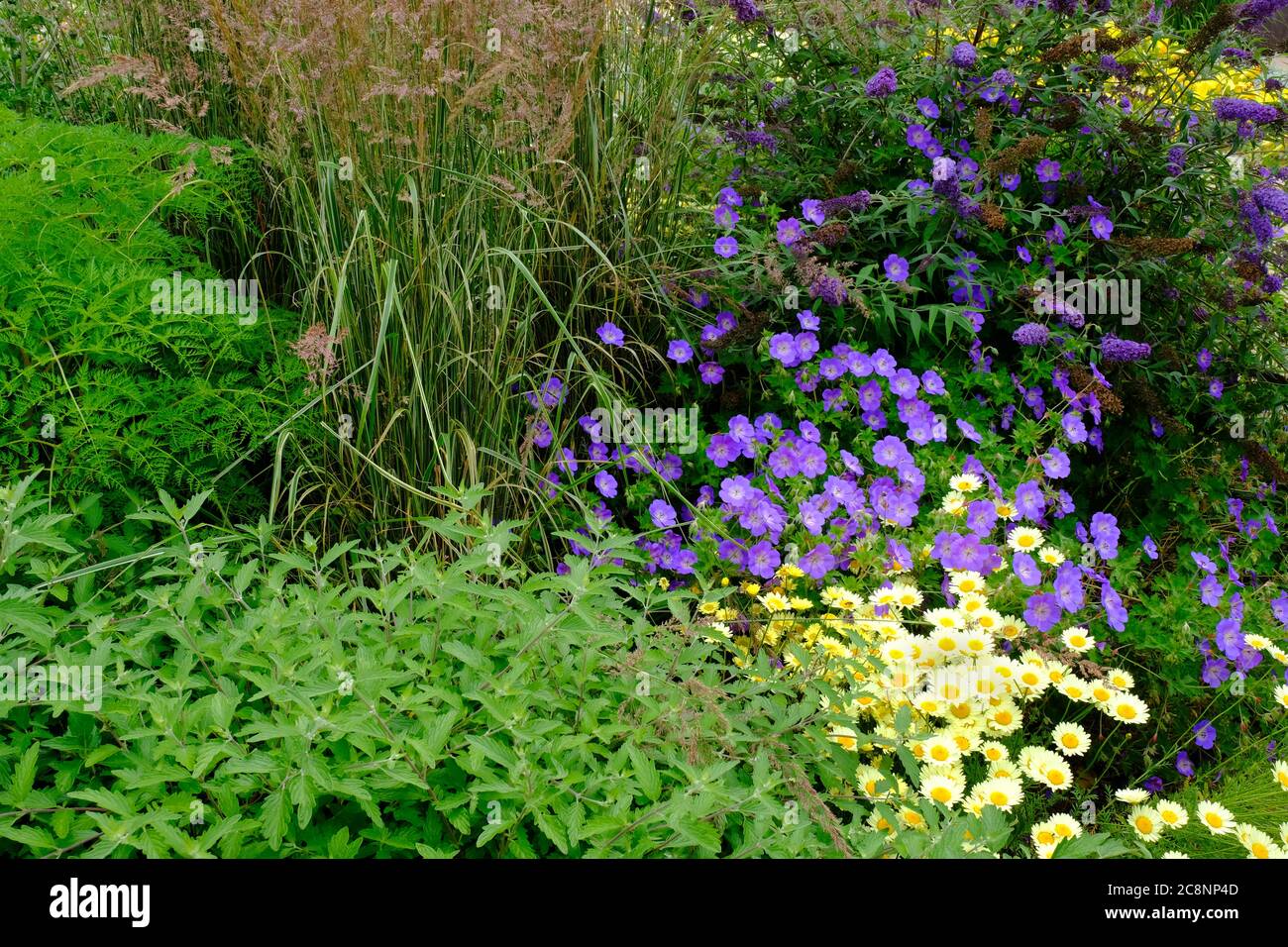 Lussureggiante confine dei fiori estivi inglesi - John Gollop Foto Stock