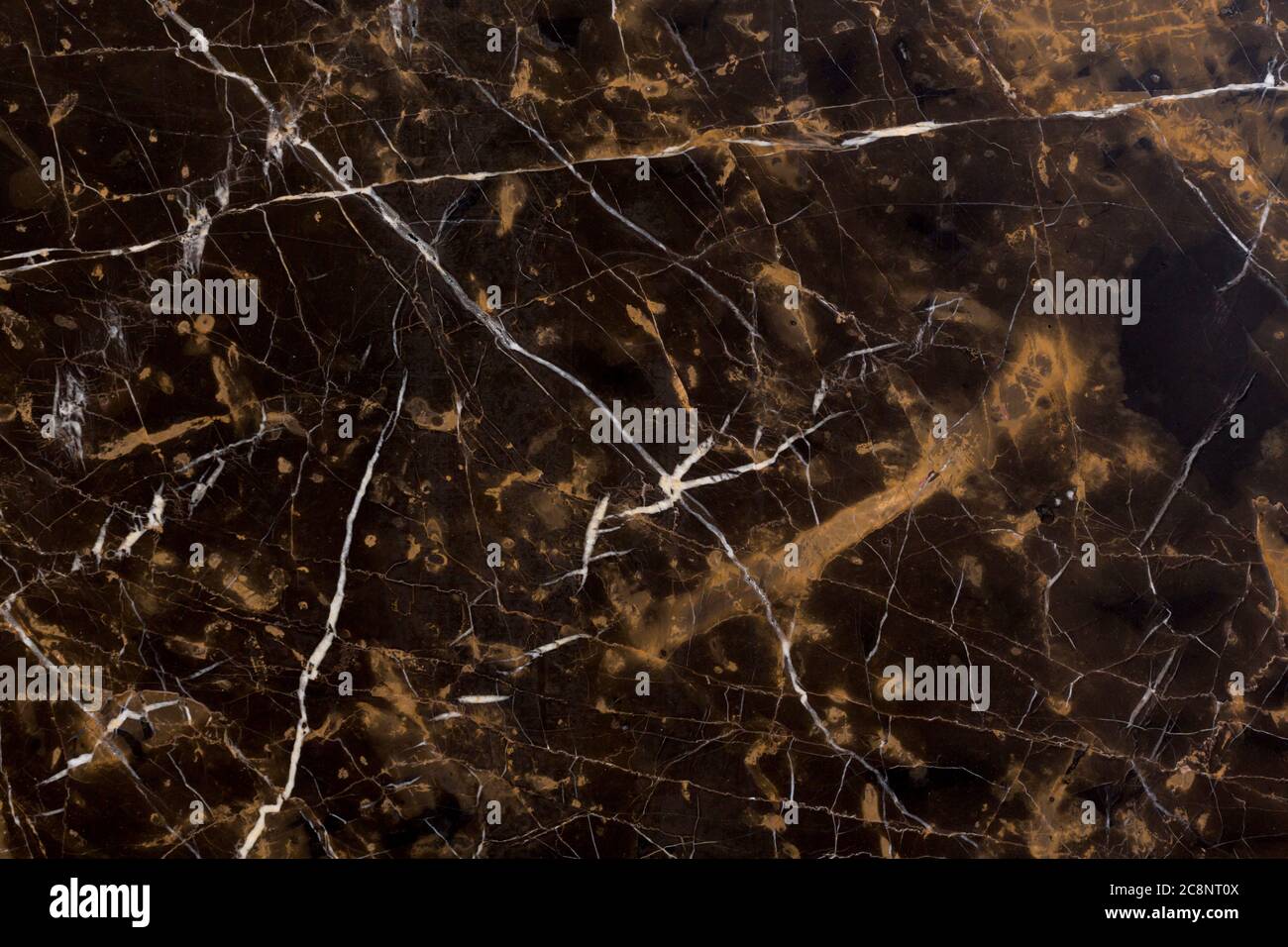 Macro primo piano dettagliato marmo naturale texture sfondo pictur Foto Stock