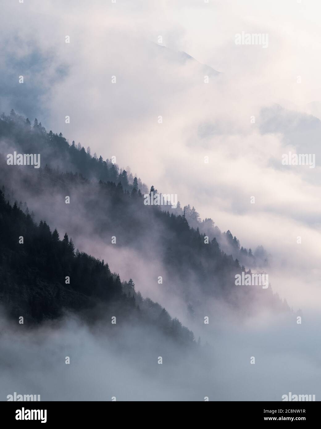 Vista paradisiaca di un paesaggio oscuro di foresta con nube e nebbia. Foto di alta qualità Foto Stock