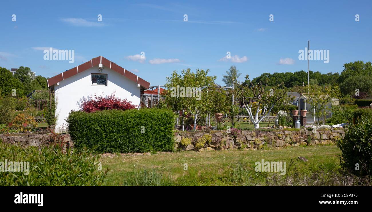 Casa giardino nel giardino di assegnazione, Dortmund, zona Ruhr, Nord Reno-Westfalia, Germania, Europa Foto Stock