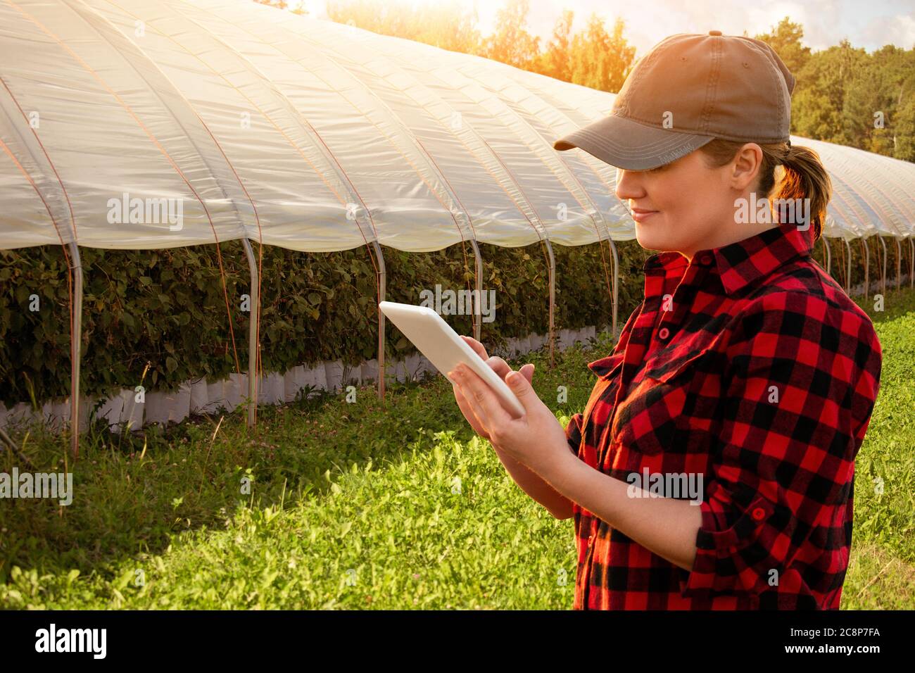 Agricoltore con tablet digitale sullo sfondo di una serra. Agricoltura intelligente e agricoltura di precisione 4.0 Foto Stock