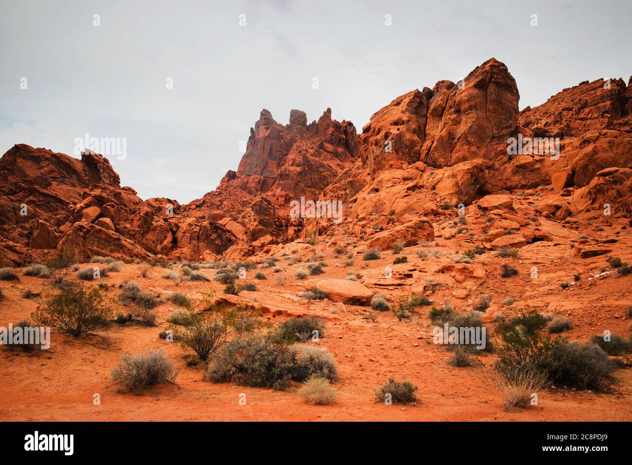 valley of Fire state Park, Las Vegas, Nevada Foto Stock