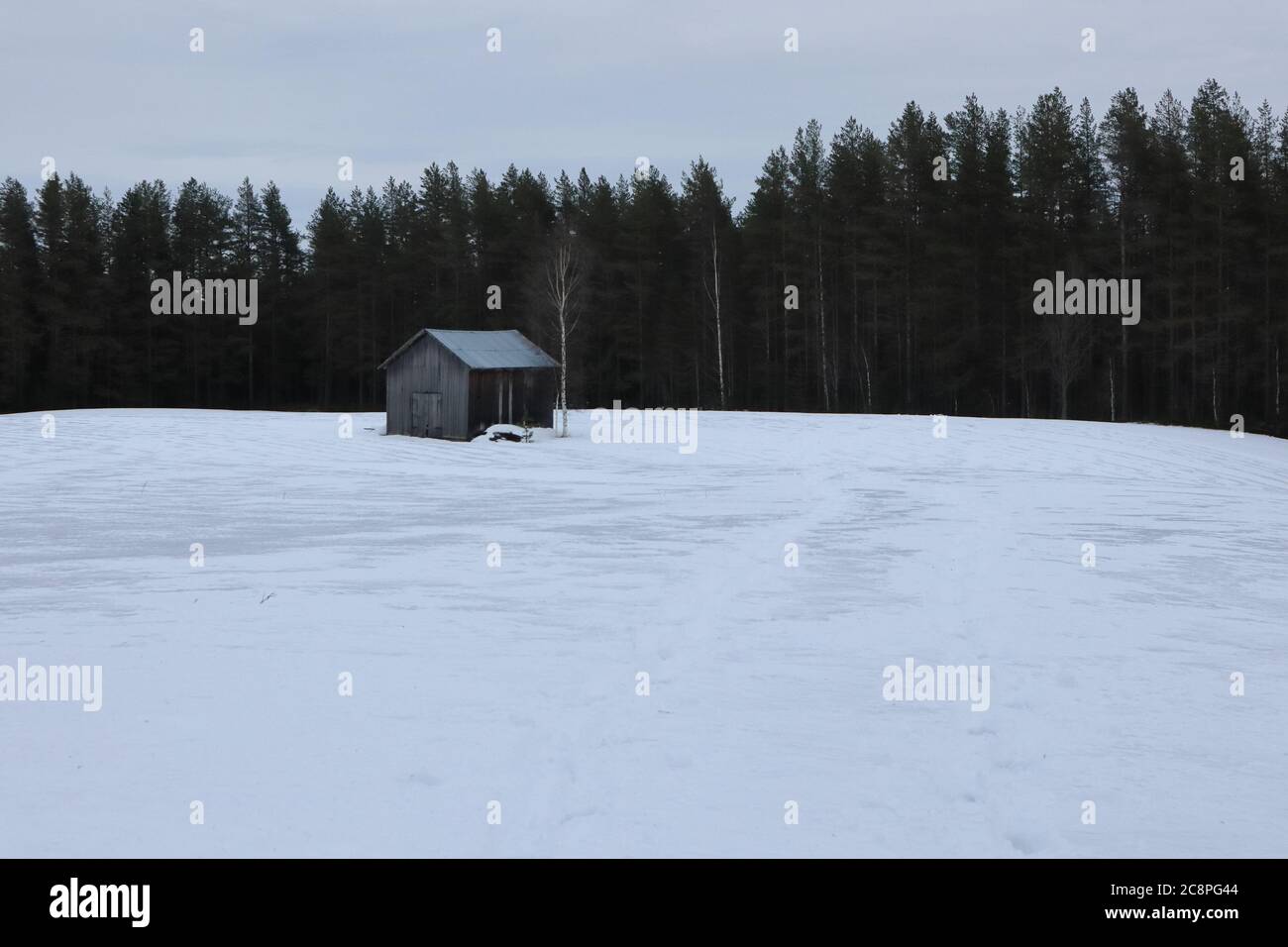 Solitaria capanna nel mezzo del nulla, Lapponia, Svezia Foto Stock