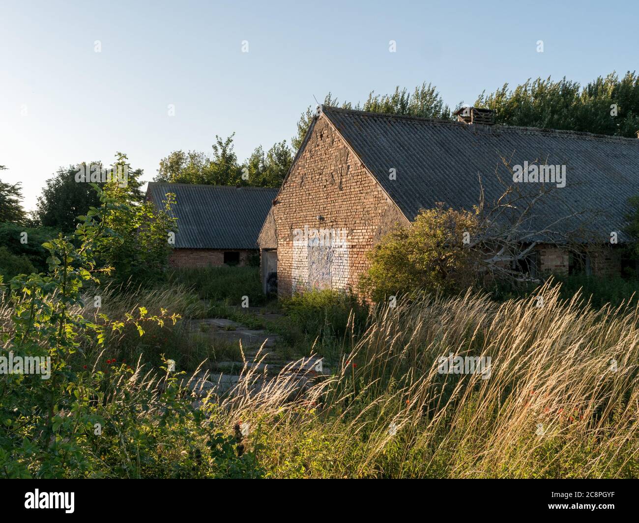 Verlassenes Bauerngut Bauernhof in einer ländlichen Regione im Sommer, abbandonata vecchia fattoria chiuso in rovina moderna campagna Foto Stock