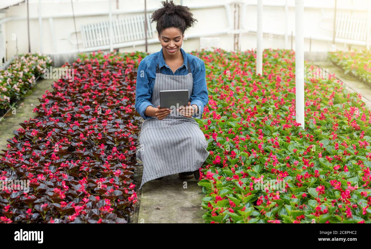 Fiori e tecnologia. Donna che guarda la compressa in serra Foto Stock