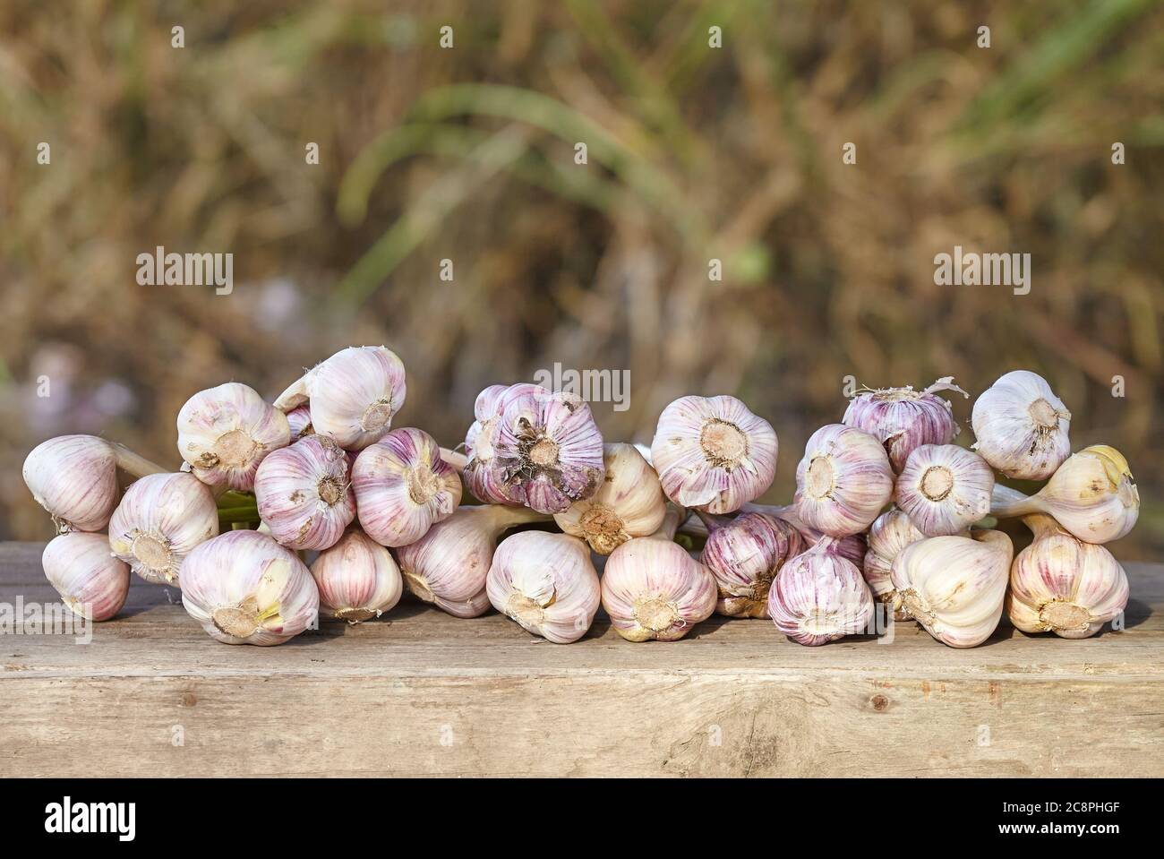 Aglio fresco su un tavolo di legno, fuoco selettivo. Foto Stock