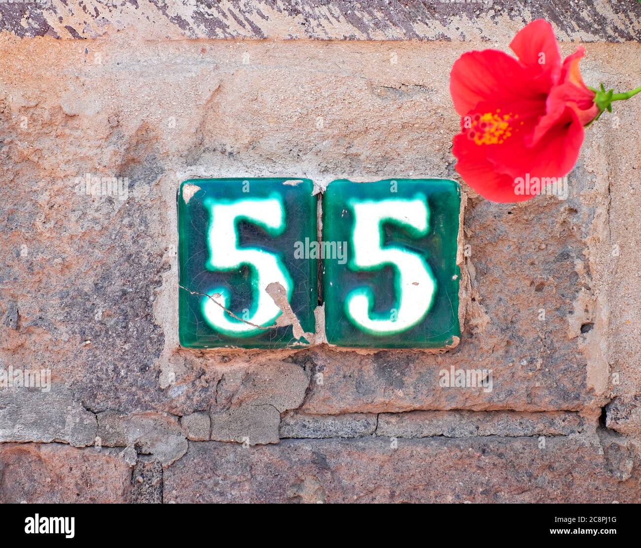Cinquantacinque, numero 55, cifre verdi in ceramica su muro di pietra e un fiore di ibisco. Foto Stock