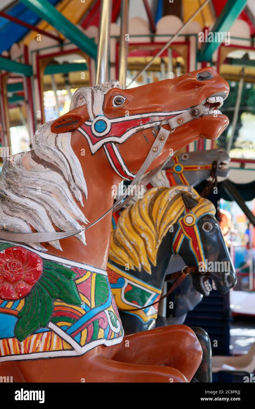 Dettagli della carrozza a cavallo nel parco ricreativo Foto Stock