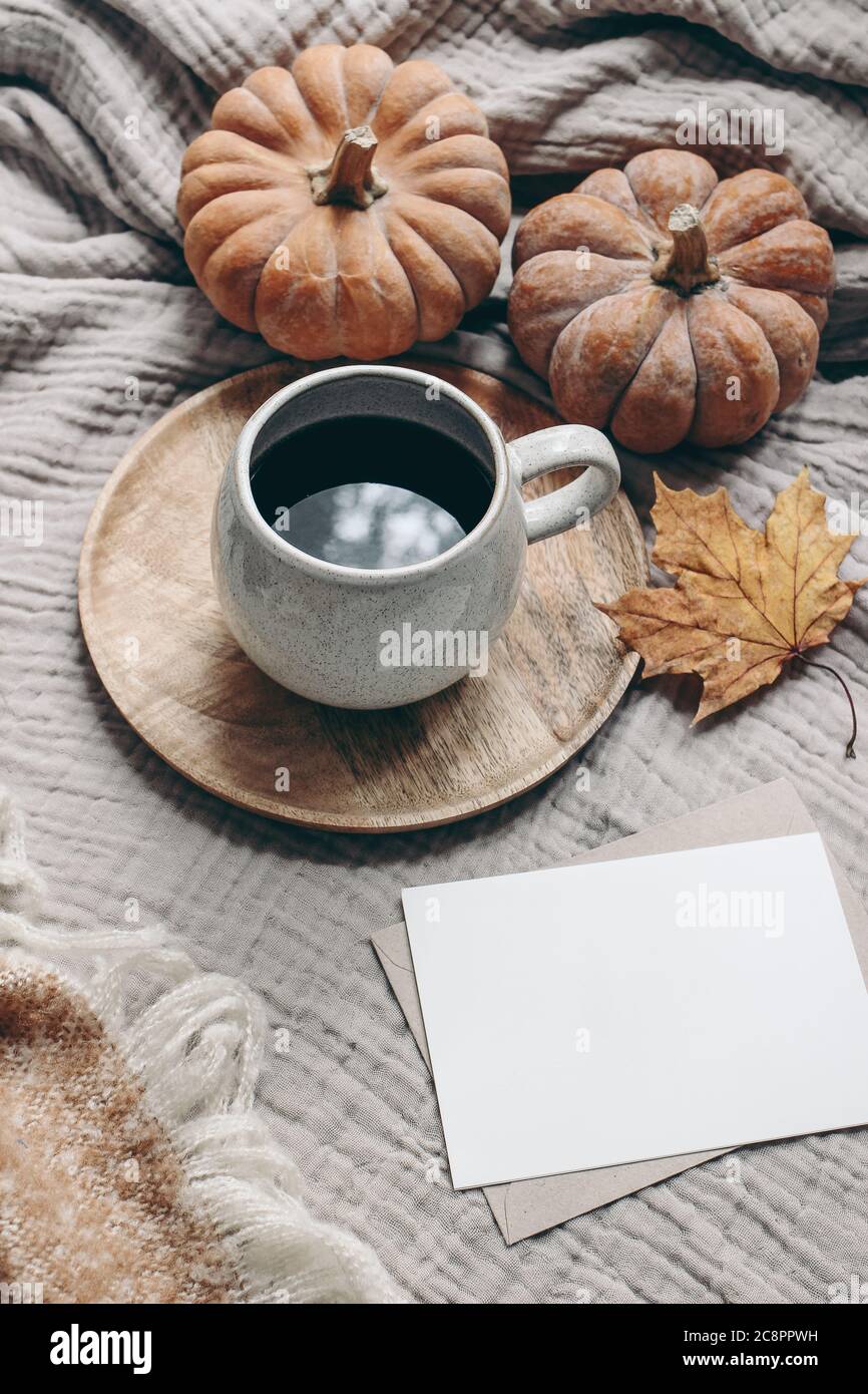 Composizione in stile autunnale. Colazione autunno ancora vita. Scena di mock-up del biglietto d'auguri vuoto con tazza di caffè, coperta di lana, foglia d'acero e zucche Foto Stock