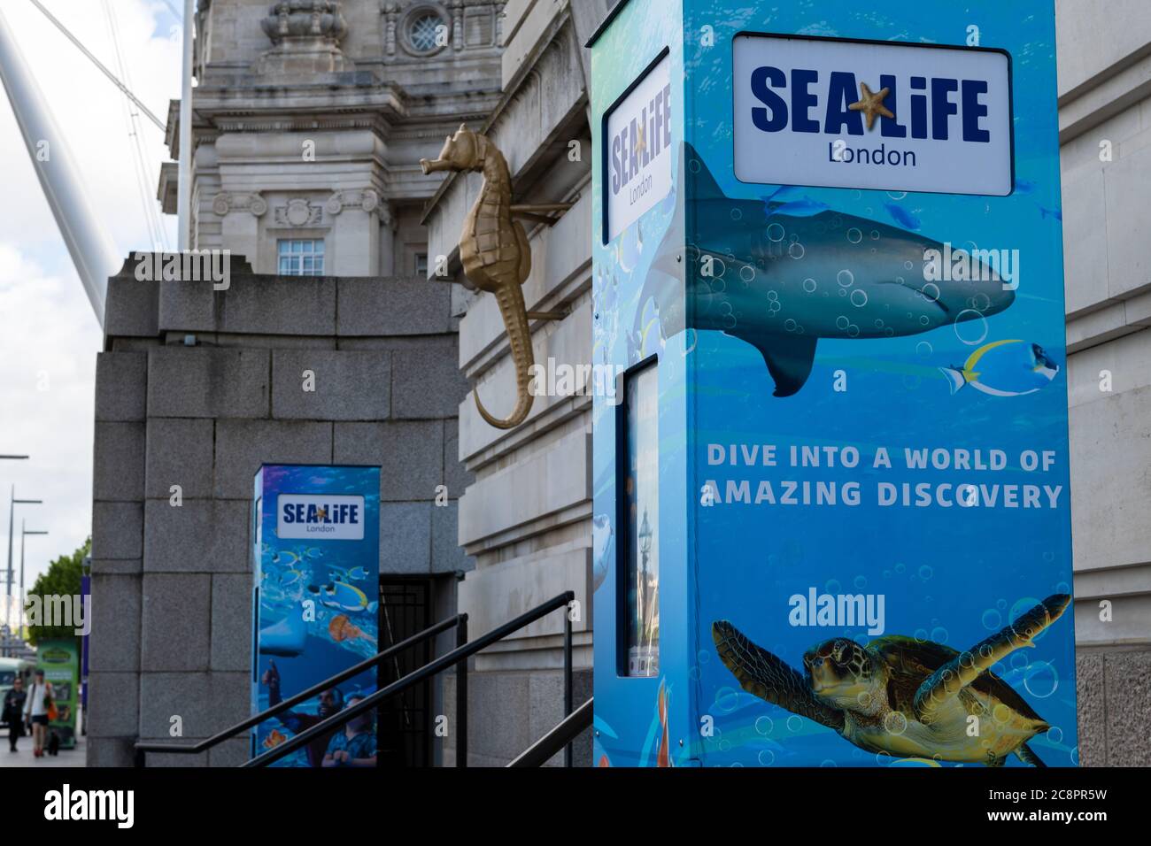 Il Sea Life London Aquarium si trova nell'edificio County Hall sulla sponda sud del fiume Tamigi. Foto Stock