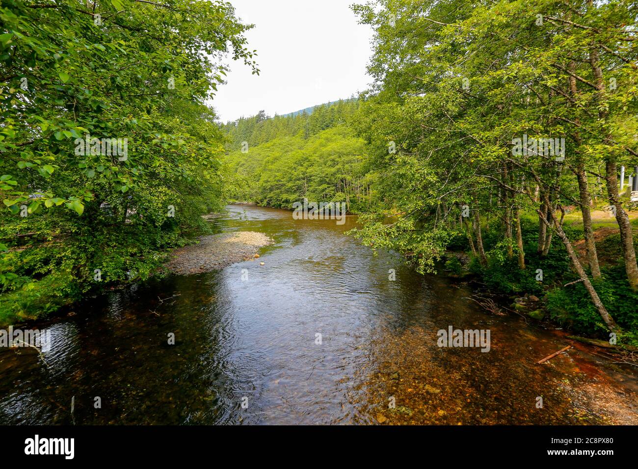 Fiume tranquillo vicino Ketchikan, Alaska, la capitale mondiale del salmone. STATI UNITI Foto Stock