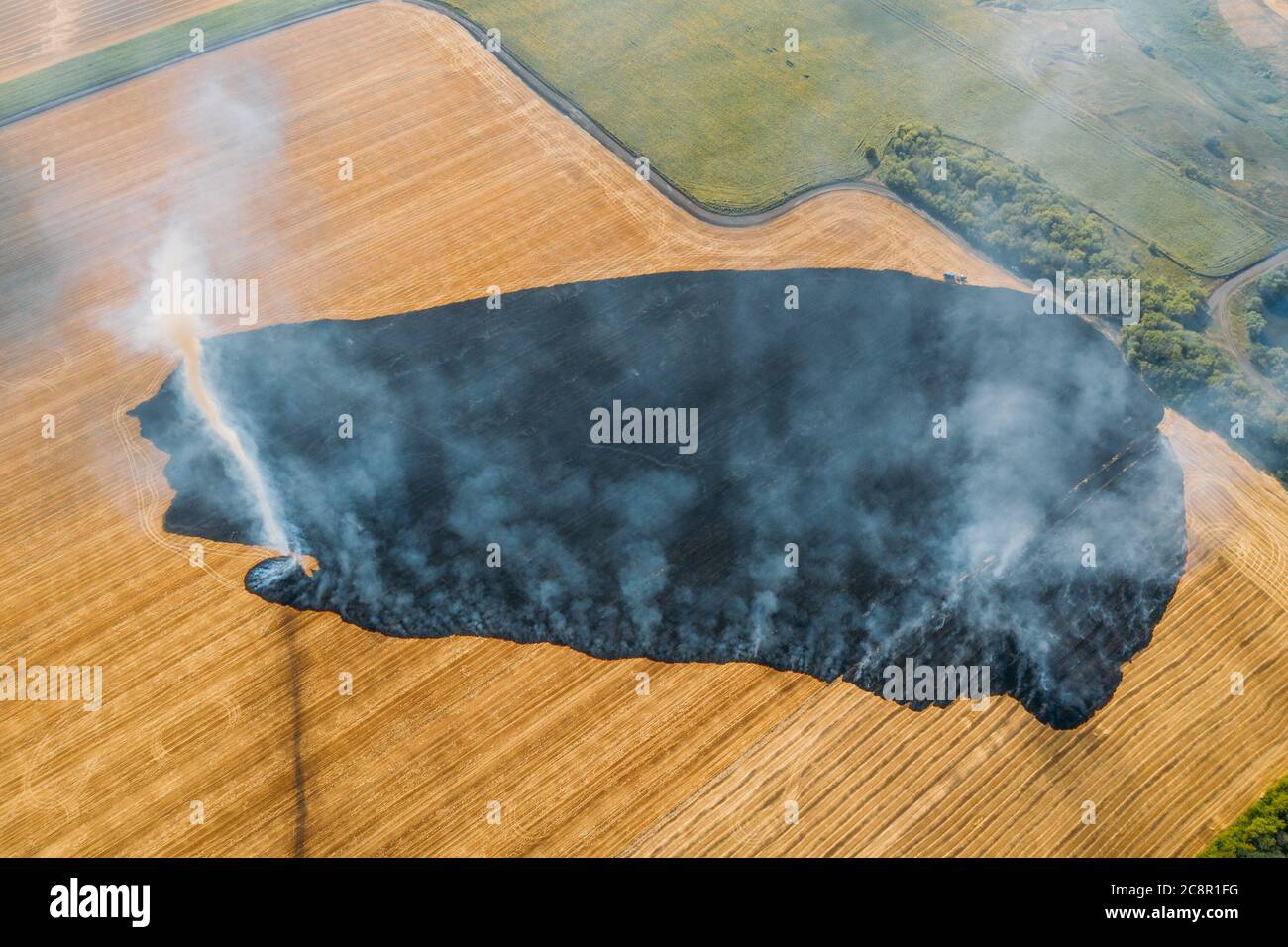 Campo agricolo in fuoco, vista aerea. Campo di segale agricolo in fiamme, piccolo tornado formatosi nel fumo. Foto Stock