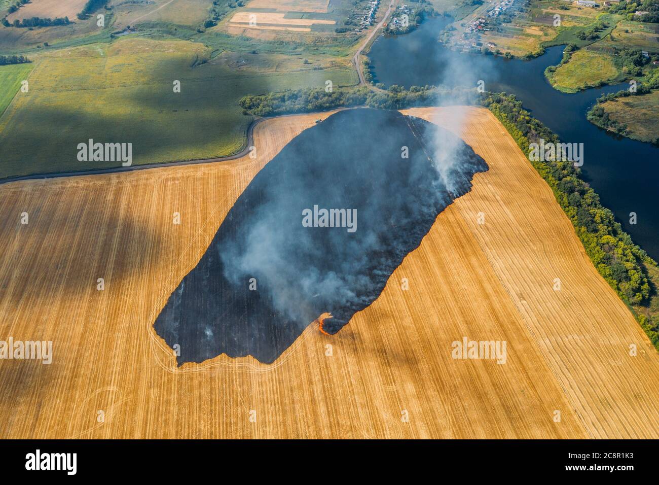 Campo agricolo in fuoco, vista aerea. Campo di segale agricolo che brucia con fumo. Foto Stock