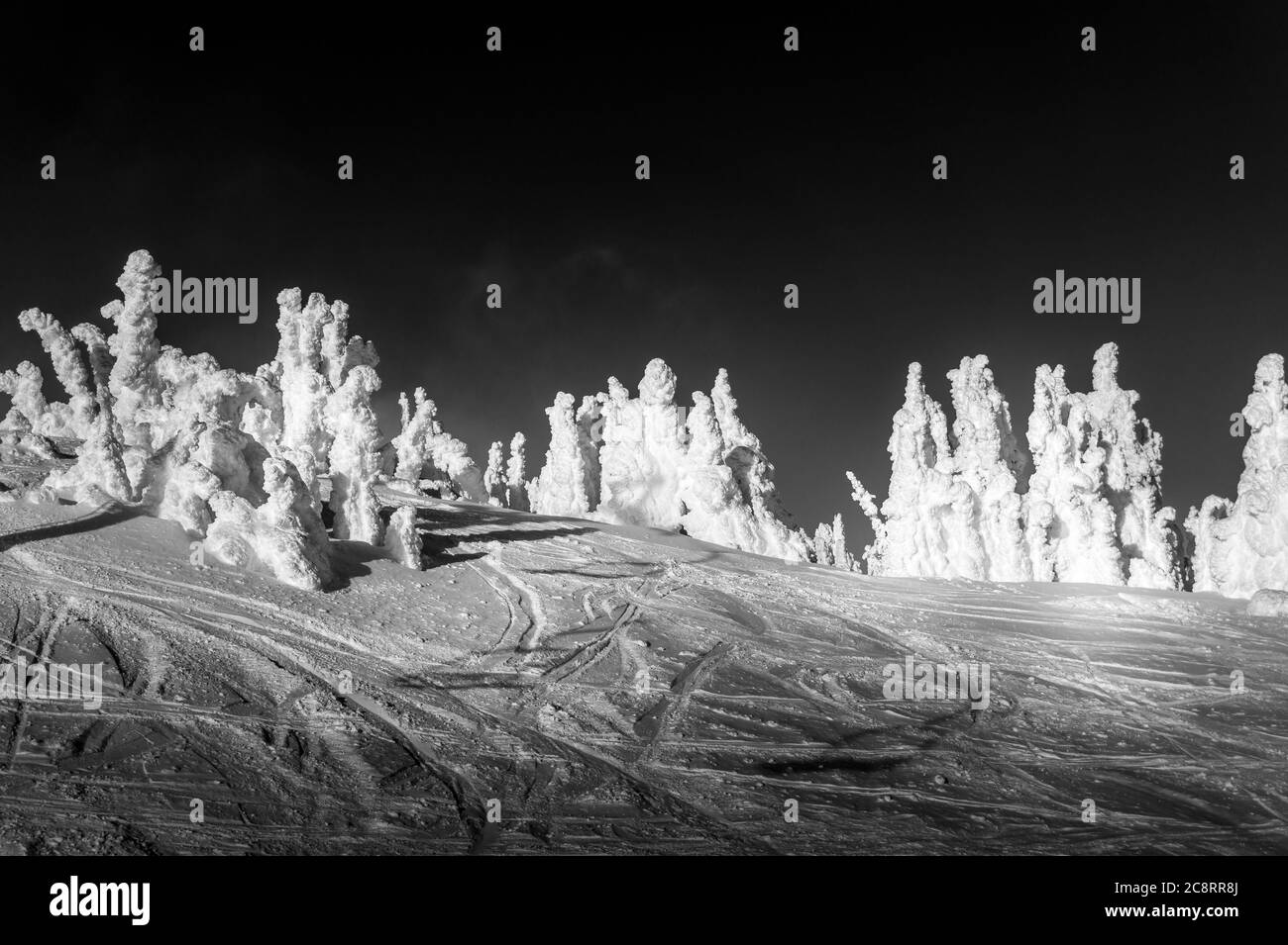 Foto in bianco e nero del tramonto sulle piste da sci del Sun Peaks Resort nelle Shuswap Highlands, British Columbia, Canada Foto Stock