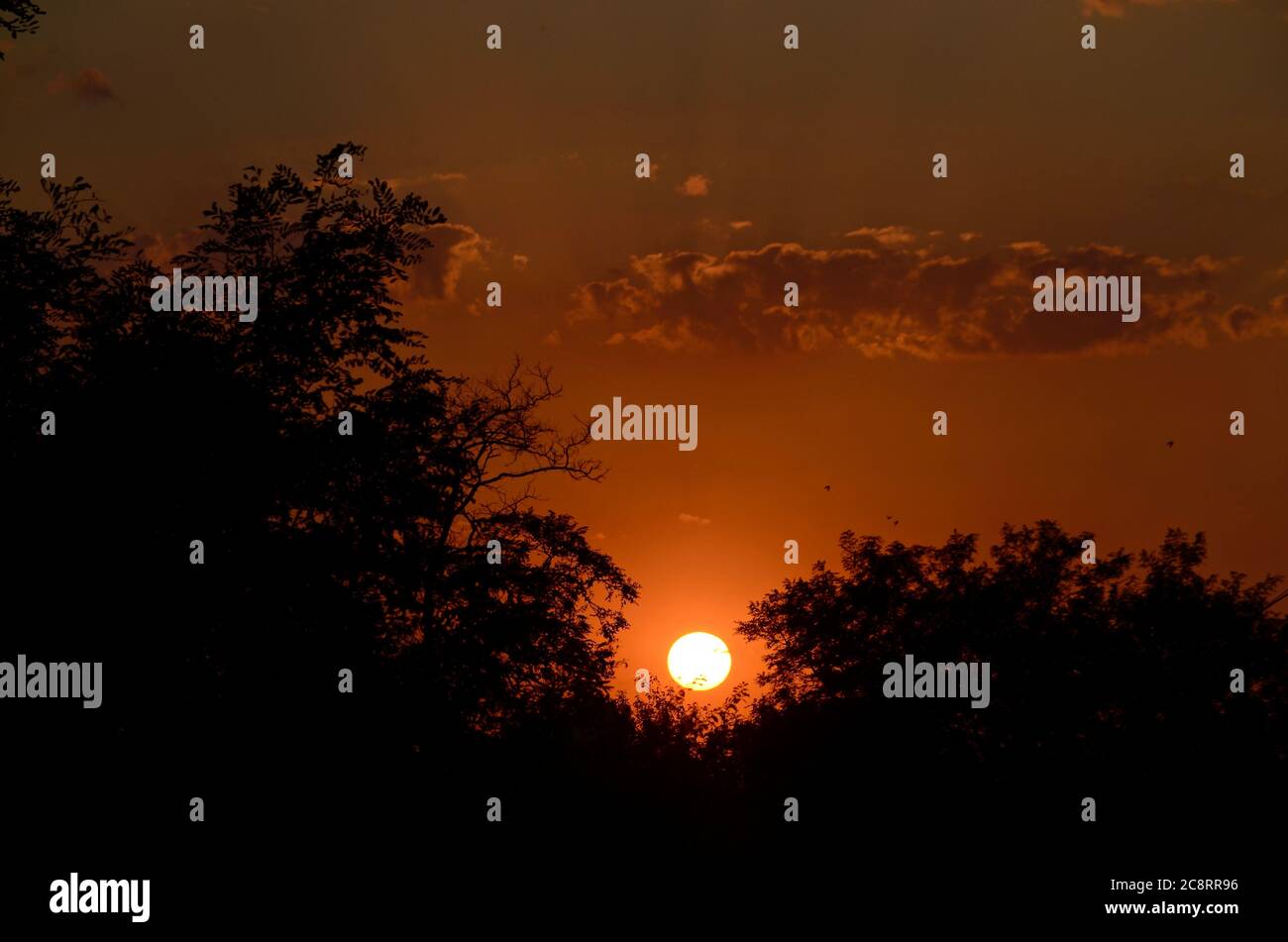 Il sole è tramontare. Tramonto. Cloud. Raggi deboli. Gli uccelli volano vicino. Foto Stock