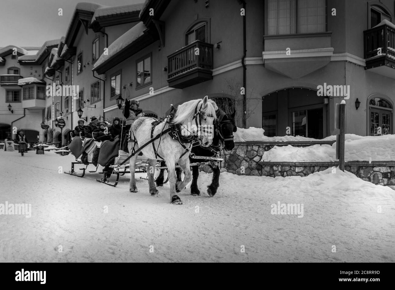 Sun Peaks, BC/Canada - 23 dicembre 2015: Foto in bianco e nero di slitta trainata da cavalli nel villaggio di Sun Peaks Resort nelle Shuswap Highlands, British Co Foto Stock