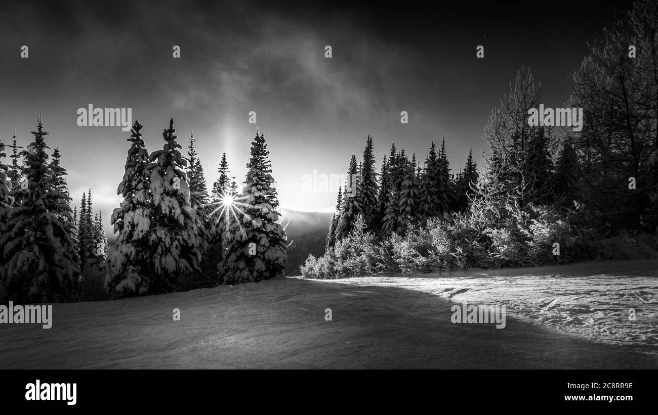 Foto in bianco e nero del sole che tramonta dietro gli alberi sulle piste da sci del Sun Peaks Resort nelle Shuswap Highlands, British Columbia, Canada Foto Stock