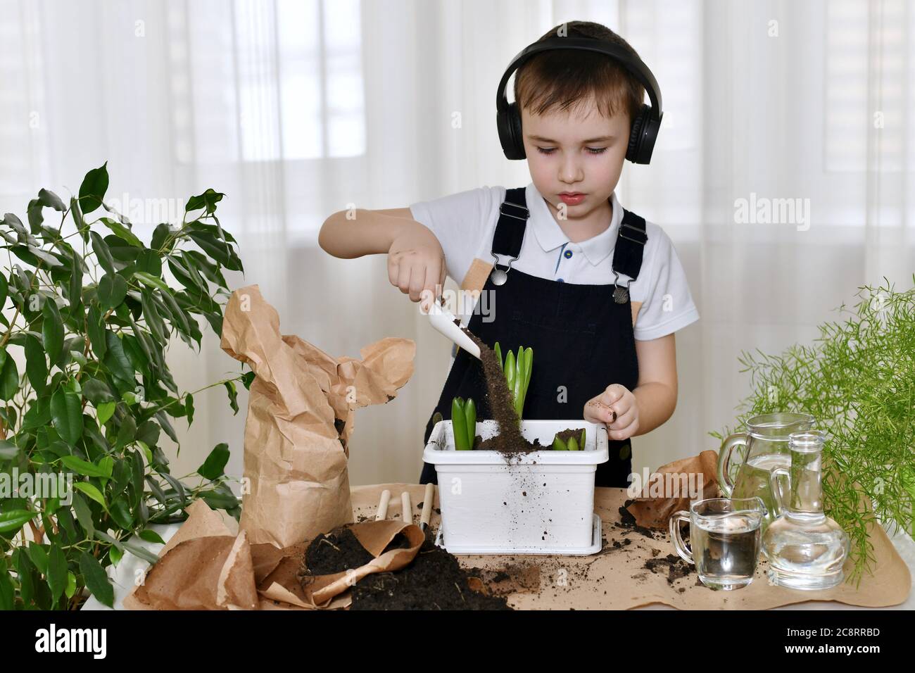 Il ragazzo è impegnato di giacinti, versato il terreno con una pala in un vaso di fiori, il terreno si sveglia. Foto Stock