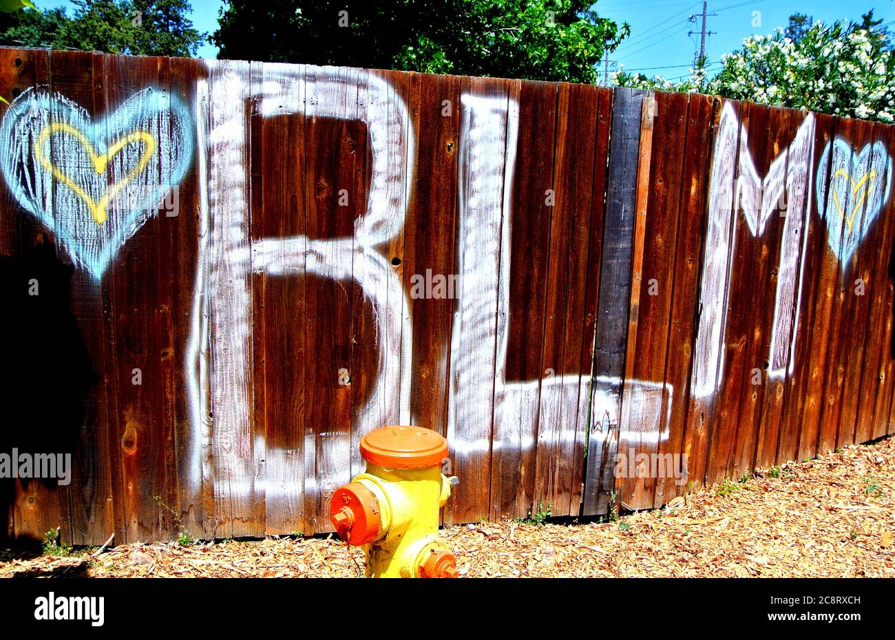 fenc con vite nere materia murale Foto Stock