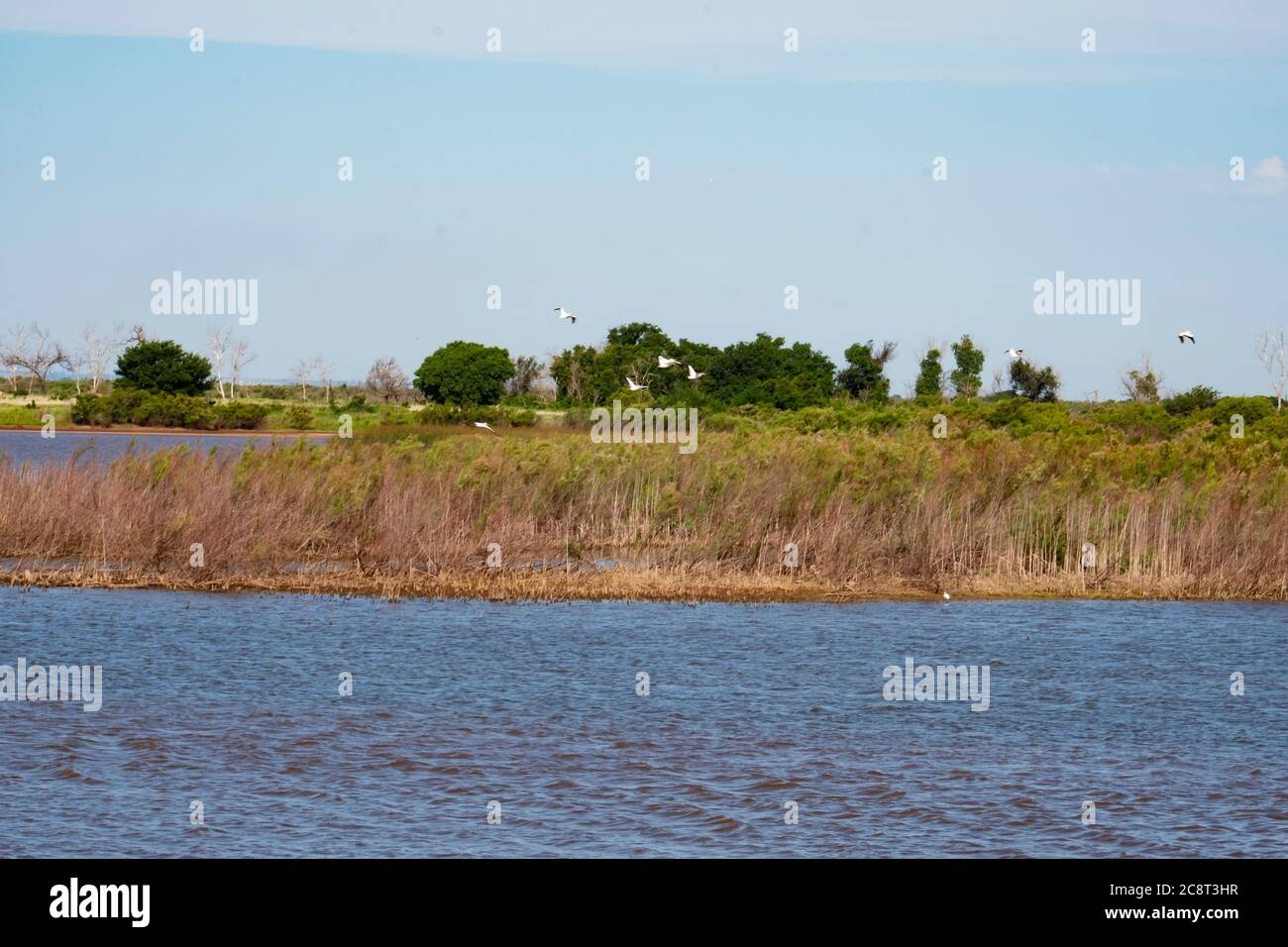 Il lago Great Salt Plains, parte di un parco statale nel nord dell'Oklahoma. L'acqua del lago è salata e ospita uccelli e animali selvatici. Oklahoma, Stati Uniti. Foto Stock