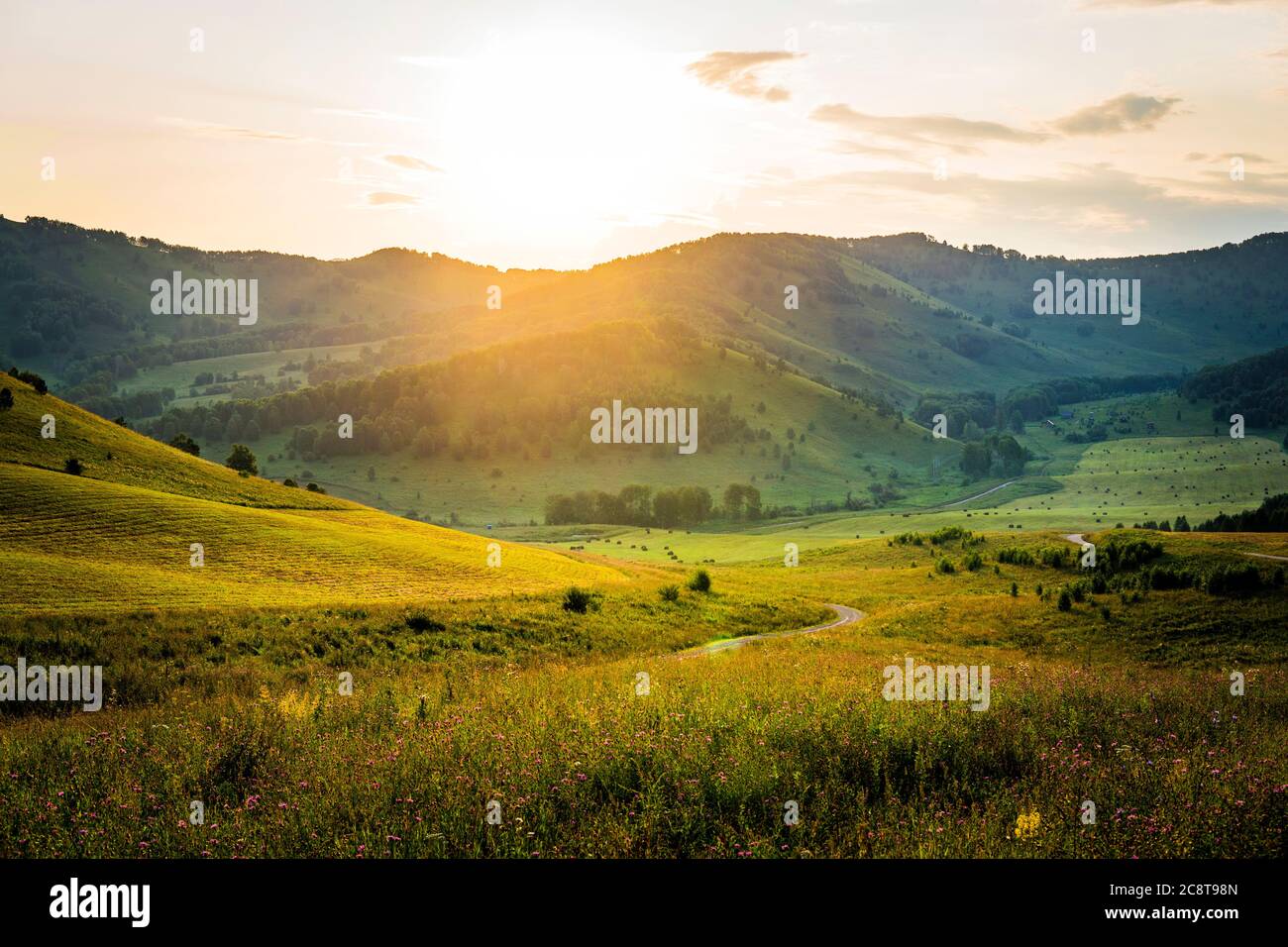 Mattina soleggiata in montagna. Tramonto sulle montagne. Paesaggio estivo in montagna. Strada di montagna serpentina. Bella composizione paesaggistica. Foto Stock