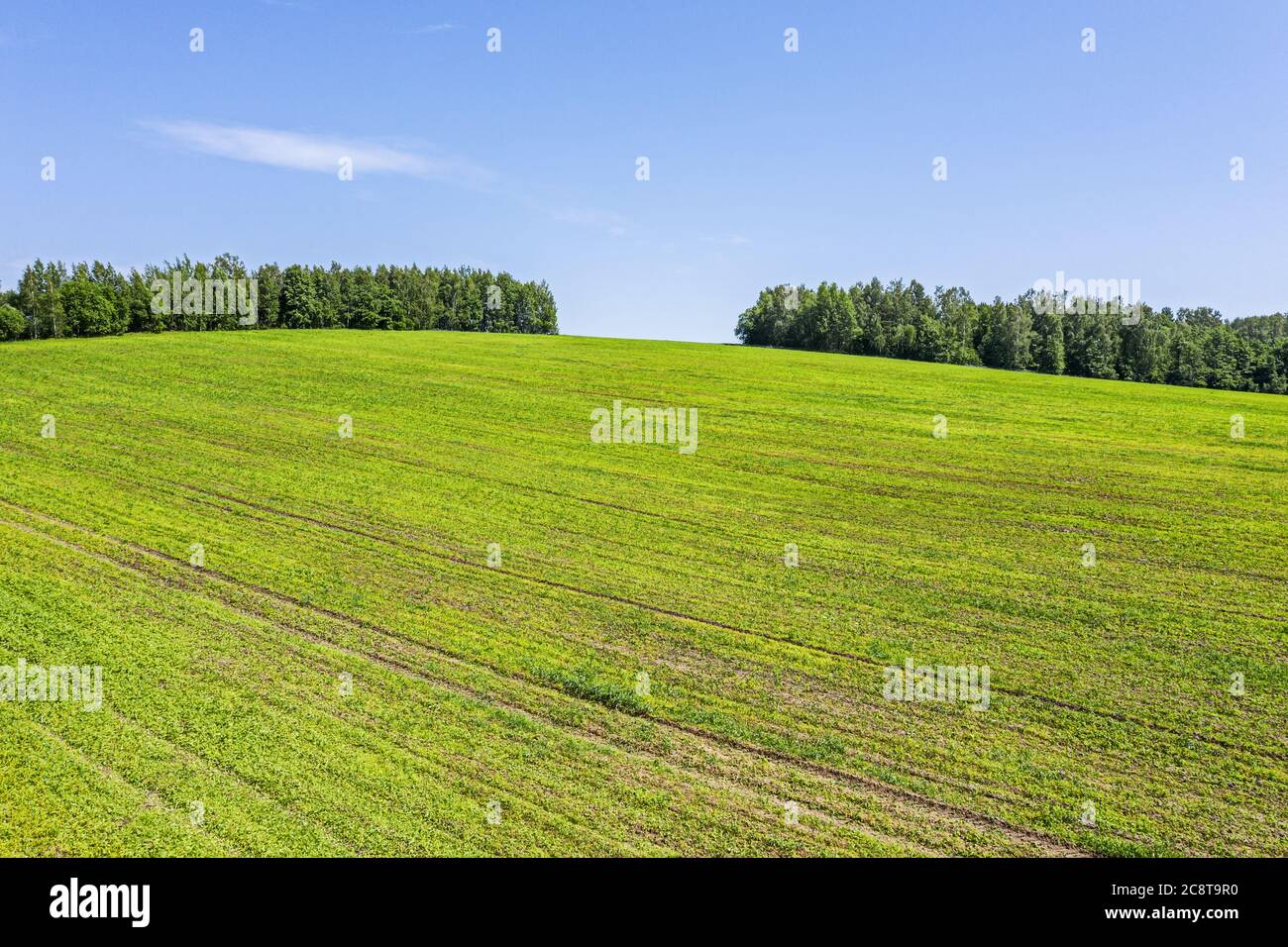 paesaggio rurale estivo con campi coltivati e verde foresta in giornata di sole. fotografia drone Foto Stock