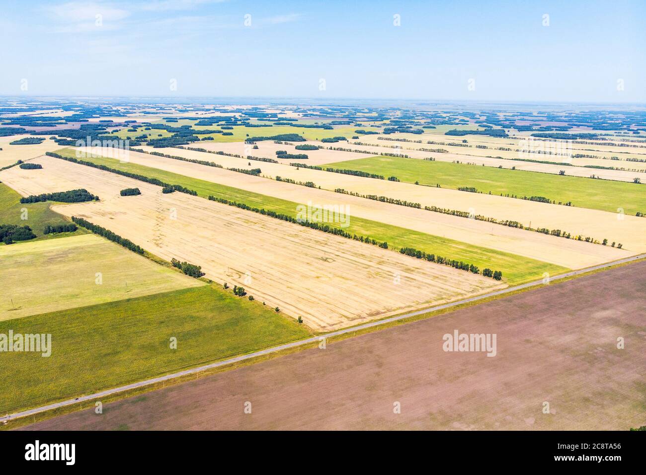 Raccolta di mais nei campi con vista dall'alto dell'antenna autunnale. Vista agricola dall'alto. Boschi e campi d'autunno con un occhio di uccello. Grande campo dopo l'antenna di raccolto Foto Stock