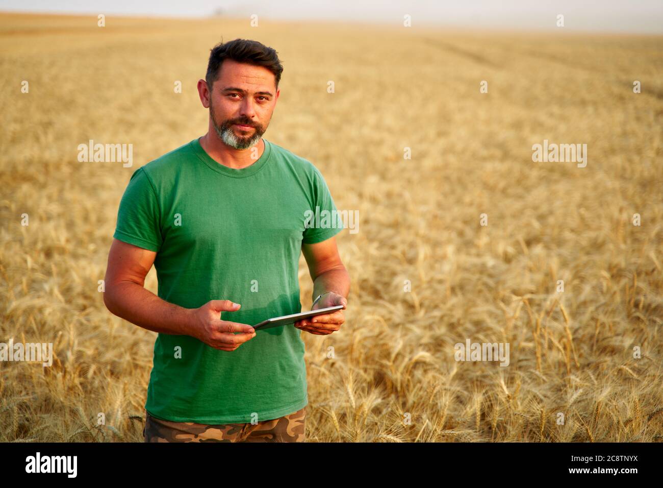 Agricoltura di precisione. Agricoltore che detiene un PC tablet, utilizzando software di gestione dati online presso il campo di grano. Agronomo che lavora con lo schermo del computer a sfioramento Foto Stock