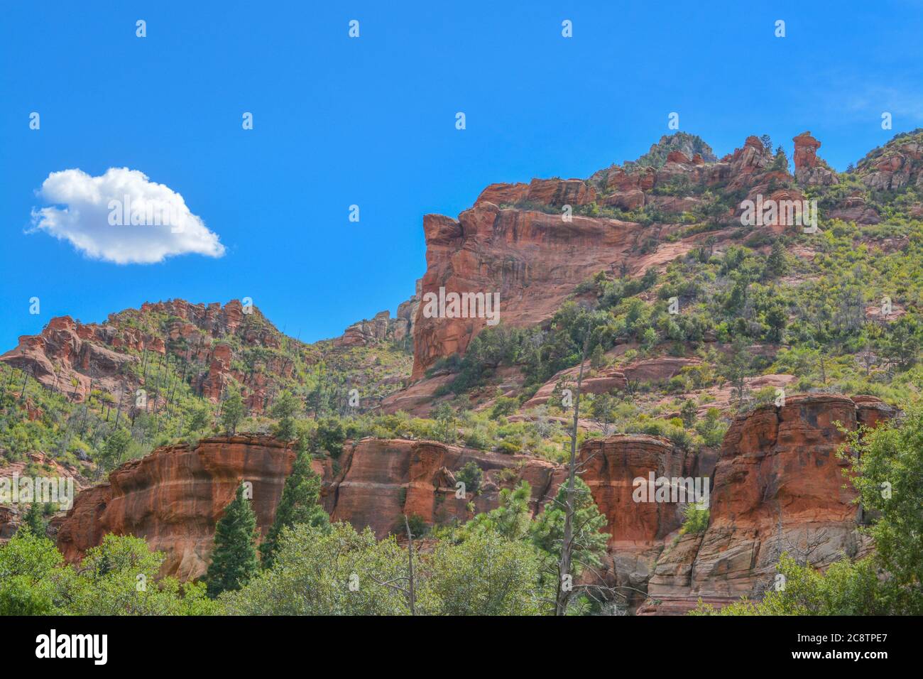 Splendida guida di roccia rossa nell'Oak Creek Canyon sulla Coconino National Forest, Sedona, Arizona. Foto Stock