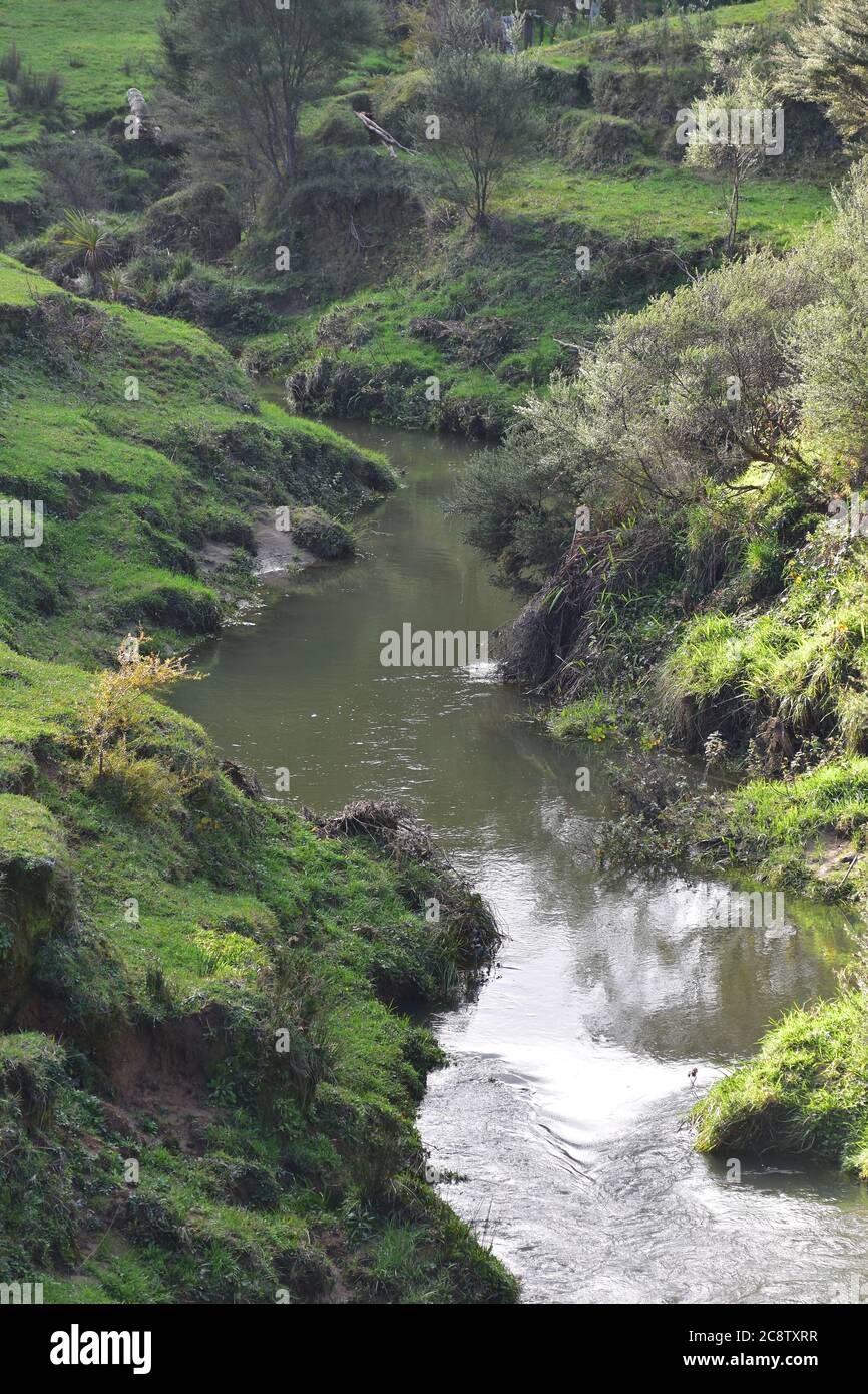 Acqua che scorre nel torrente tra le rive ripide colpite dalla deforestazione e successiva erosione del suolo. Foto Stock