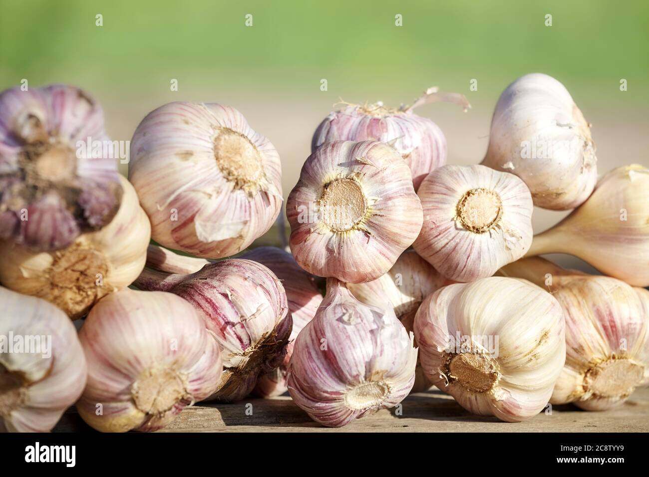 Aglio organico fresco su un tavolo di legno, fuoco selettivo. Foto Stock
