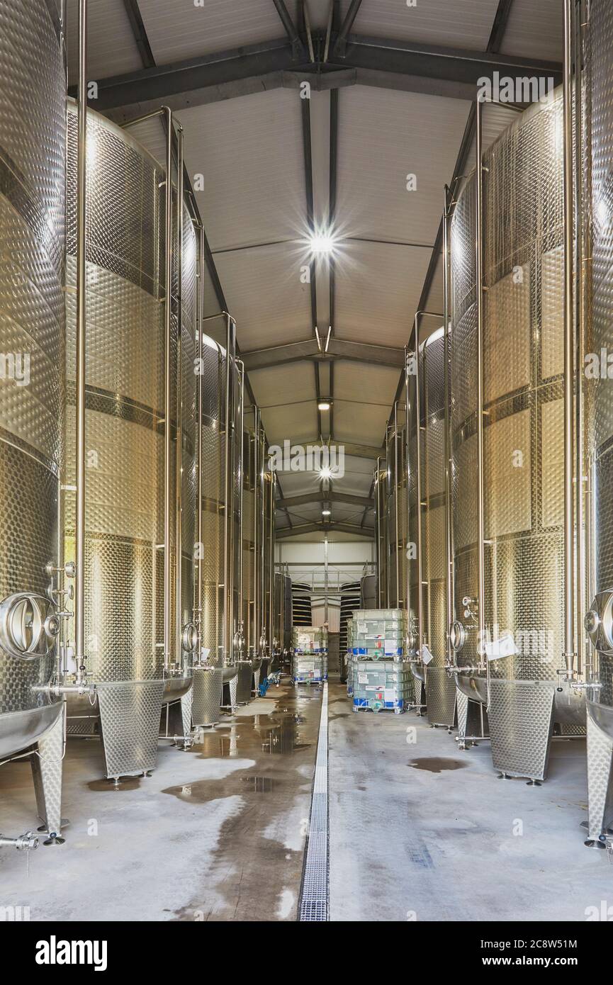 Serbatoi di fermentazione di mele in una fabbrica di sidro in una fattoria vicino a Wellington, Somerset, Gran Bretagna. Foto Stock