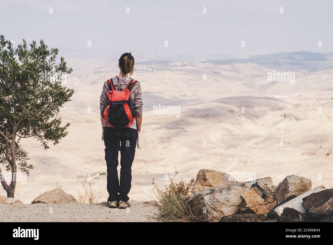 Donna montagna Hiker con zaino godere di vista. Vista dal retro. Foto Stock