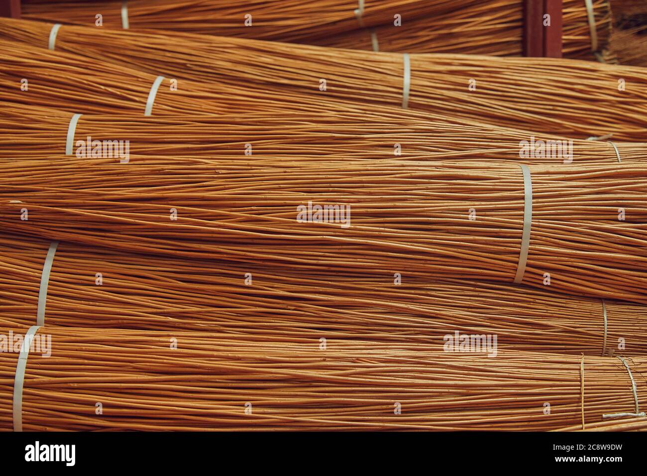 Pile di steli di salice raccolti in deposito pronti per la tessitura del cesto, Westonzoyland, vicino a Bridgwater, Somerset, Gran Bretagna. Foto Stock