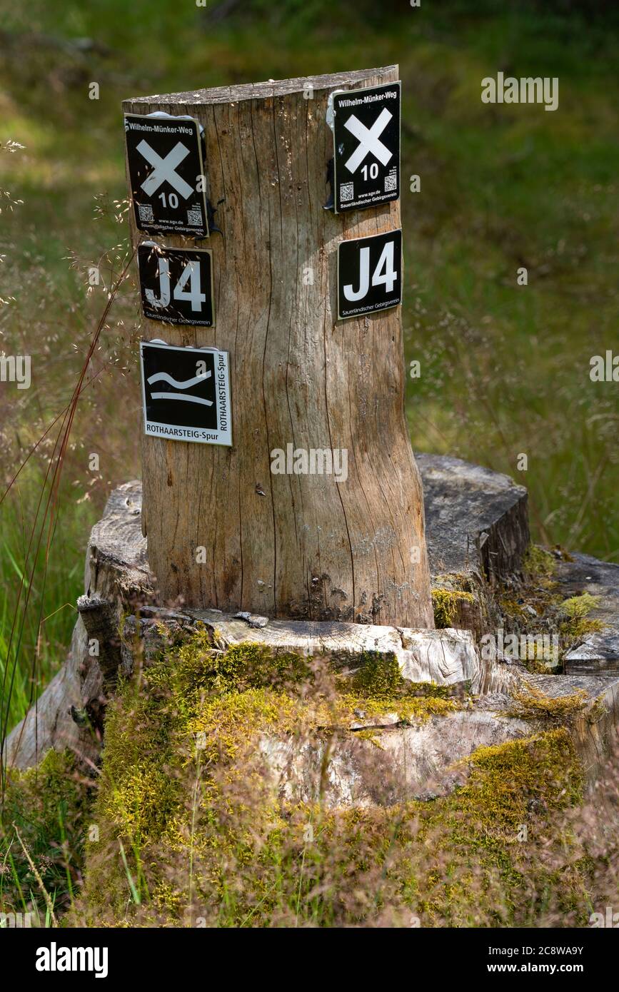 Escursioni nel Sauerland, sentiero a Jagdhaus, cartello escursionistico, Rothaarsteig percorso escursionistico a lunga distanza, distretto di Schmallenberg, NRW, Germania, Foto Stock