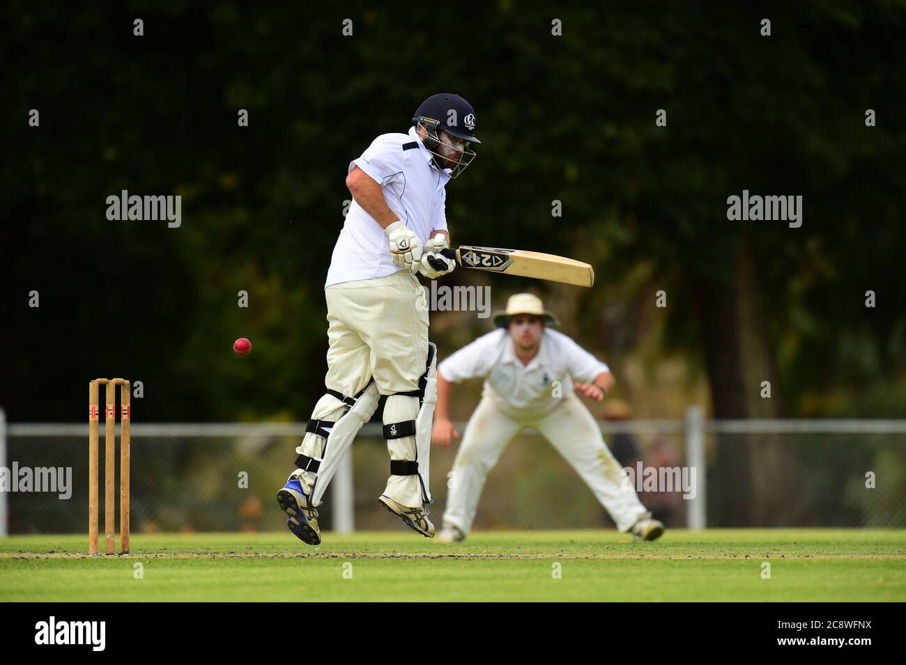 Un cricketer gli colpisce la palla dietro mentre un fielder guarda sopra durante una partita di cricket a Victoria, Australia Foto Stock