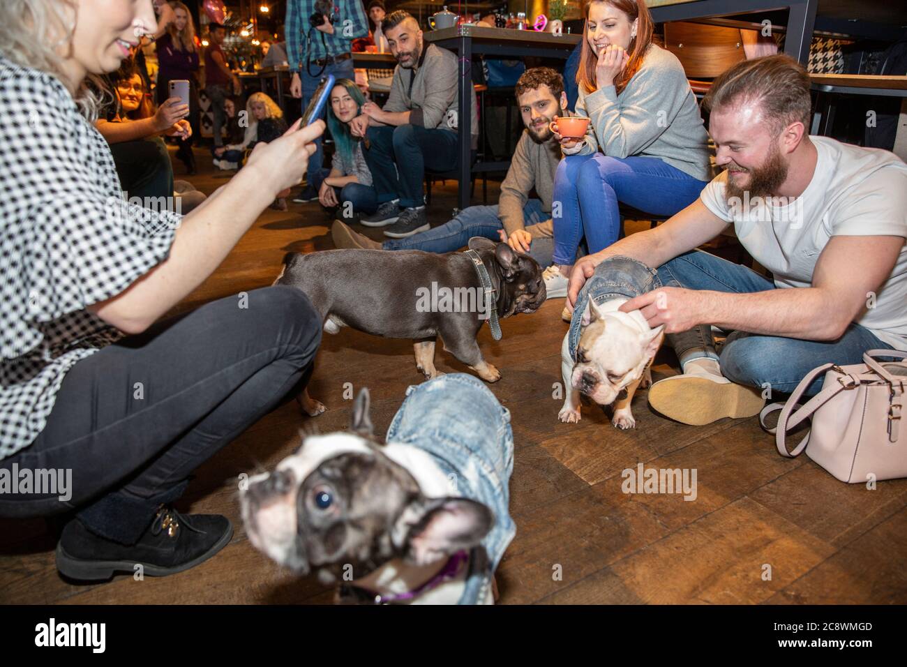 Cockapoo e l'evento di cani da compagnia francese Bulldog a Shoreditch, dove i proprietari di cani portano i loro cani nel bar per un incontro a Londra Est, Regno Unito. Foto Stock