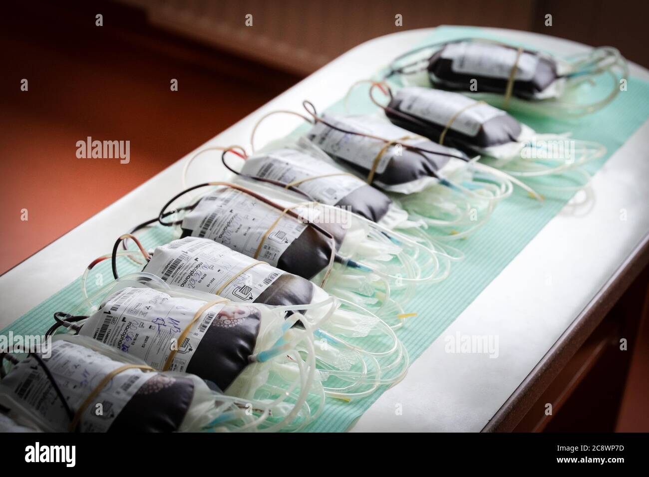 Contenitori con sangue donatore visto in laboratorio. La stazione regionale per la donazione di sangue a Kraków è la più importante struttura del suo genere nel sud Foto Stock