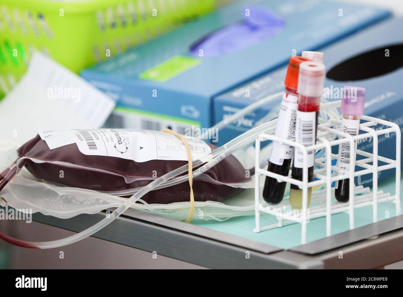 Contenitore con sangue donatore visto in laboratorio. La stazione regionale per la donazione di sangue di Kraków è la più importante struttura del suo genere nel sud Foto Stock