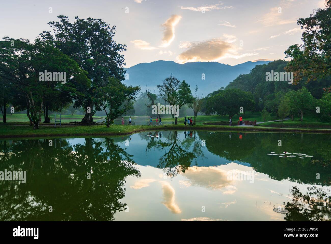 Giardino del lago Taiping Foto Stock