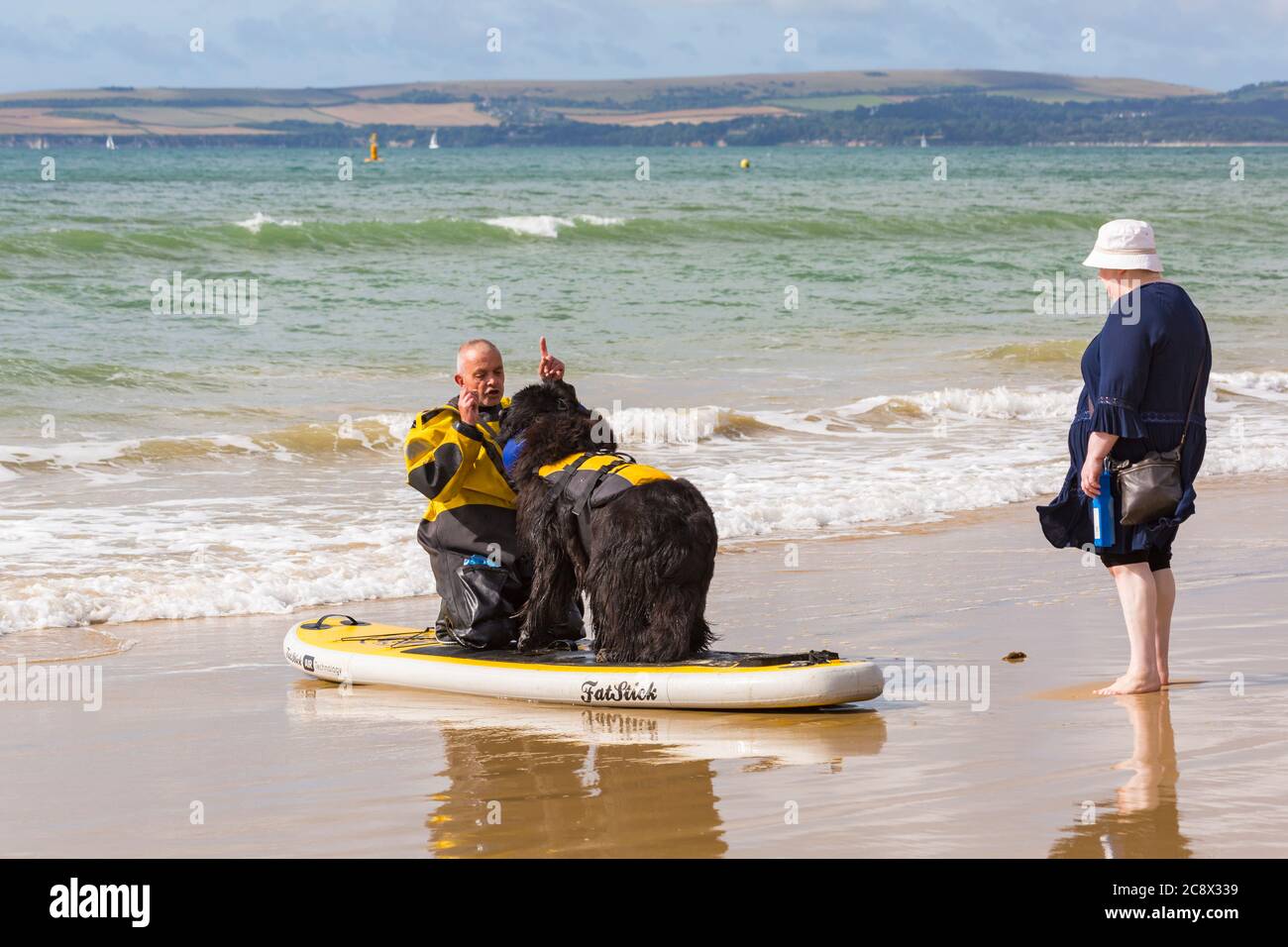 Addestramento del cane - il cane di Terranova in piedi sulla tavola di pagaia imparando a paddleboard a Branksome Dene Chine Beach, Poole, Dorset, Regno Unito nel mese di luglio Foto Stock